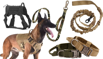 Тактичне спорядження для собак фото