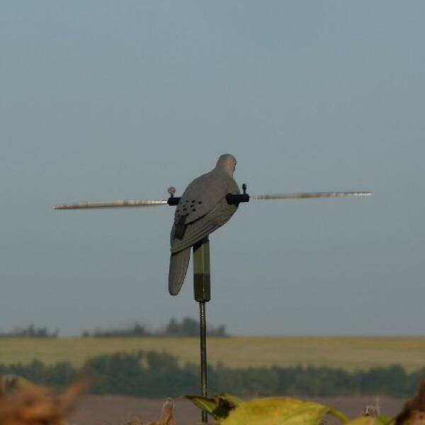 Полювання на горлицю з чучелами фото