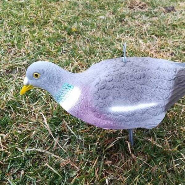 Неймовірна ціна на Чучела на голуба від компанії Sport Plast. фото