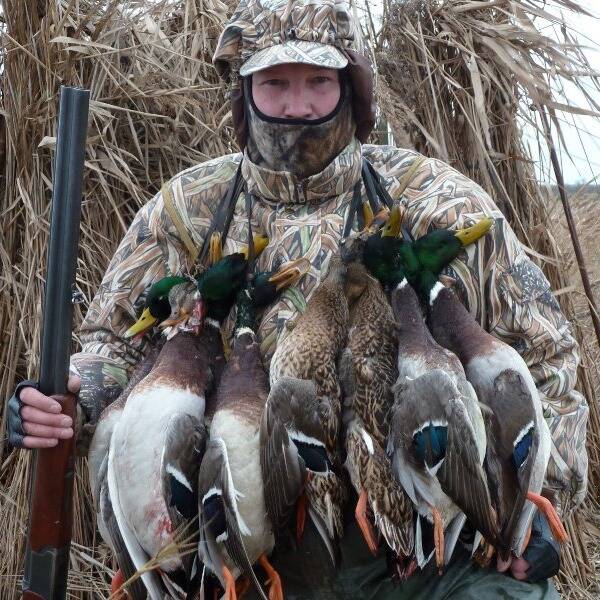 Полювання бувають різні. фото