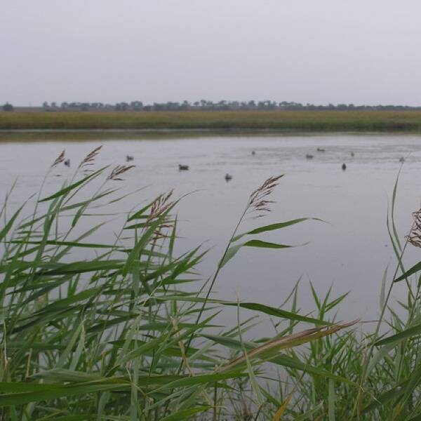 Розвідка-боєм! фото