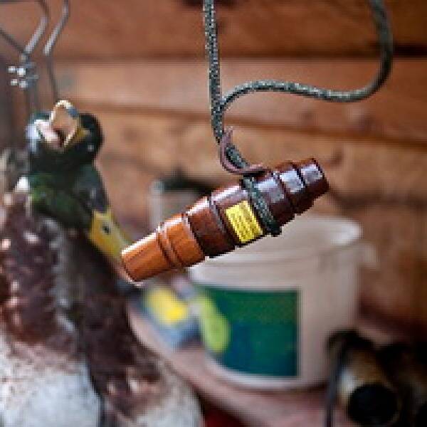 Компанія Sure-Shot-творці двомовних манків фото