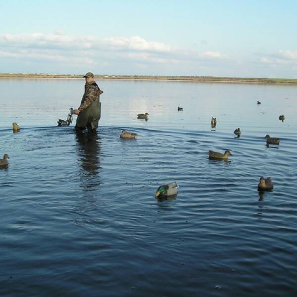 Закриття полювання на лимані фото