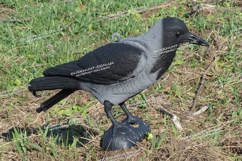 Чучело сірої ворони SPORT PLAST CR751