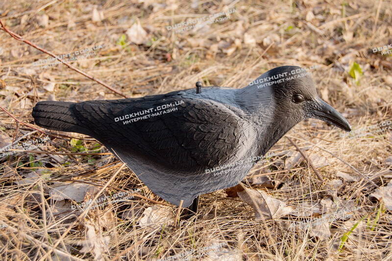 Чучело сірої ворони SPORT PLAST IM 751