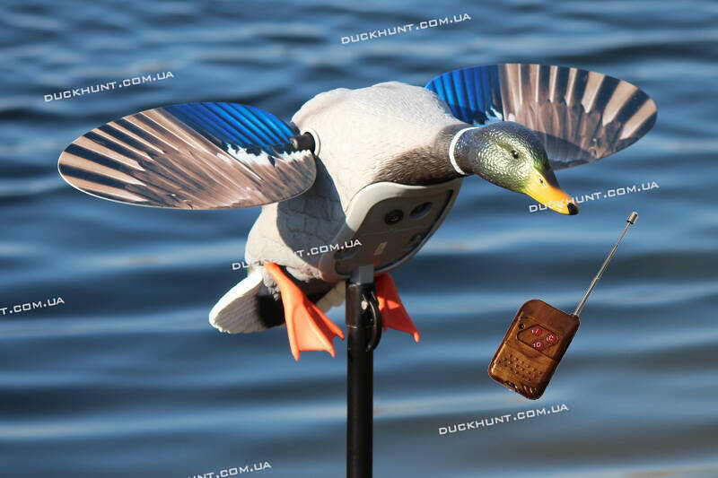 Чучело селезня крижня Mojo Elite King Mallard c Д/К