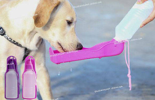 Походная поилка для собак