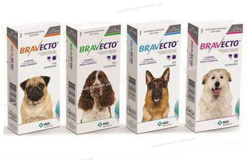 Таблетка Бравекто (Bravecto)