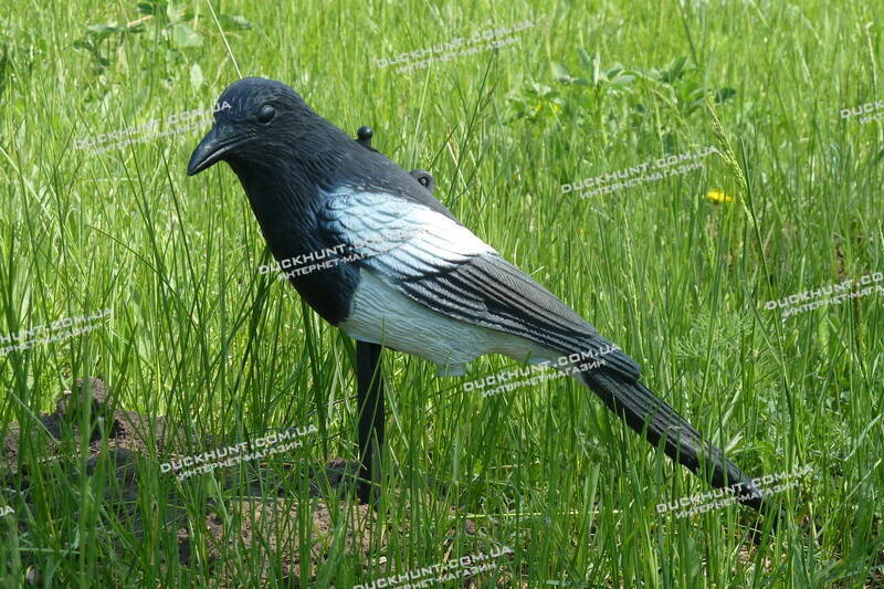 Чучело сороки SPORT PLAST 110-00