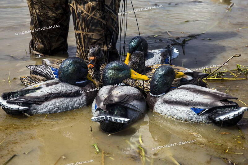 Чучела селезня Mojo Fatal Front Premium- комплект з 6 штук