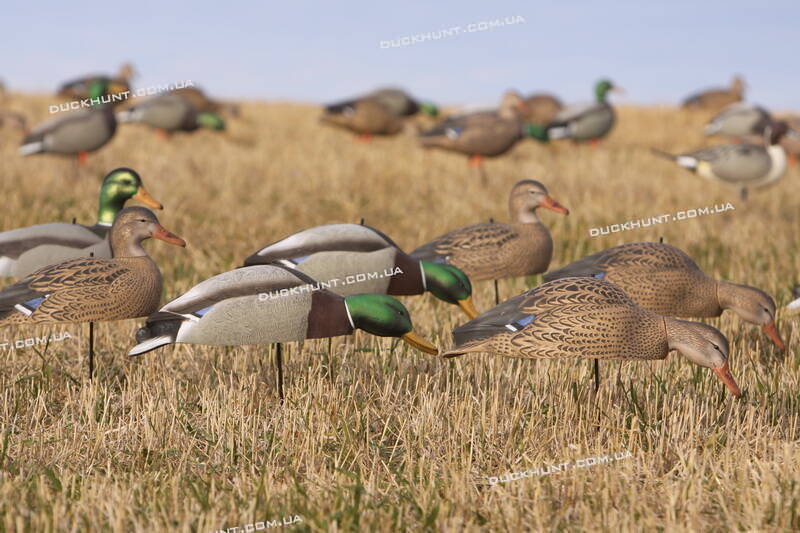 Чучела кряквы Over Size Mallard Shells комплект из 12 штук