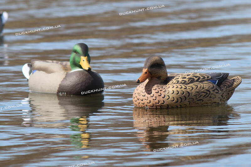 Чучела кряквы Essential Standard комплект из 2 штук