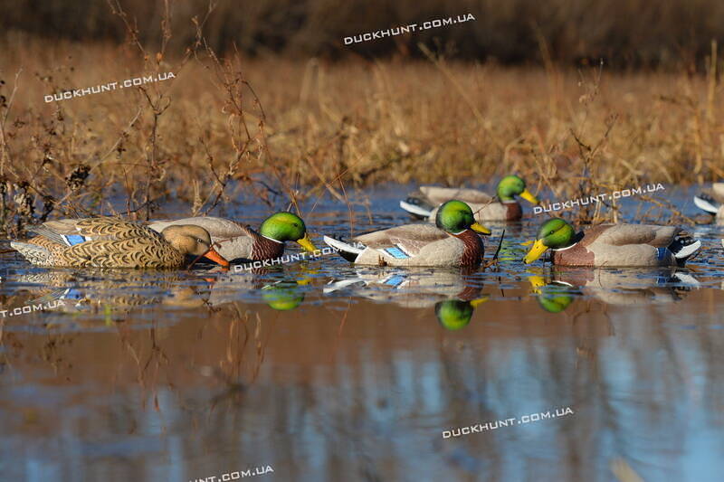 Чучела Pro-Grade XD Series Feeder комплект из 6 штук