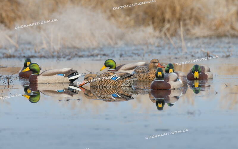 Чучела Pro-Grade XD Series Harvester-комплект из 6 штук