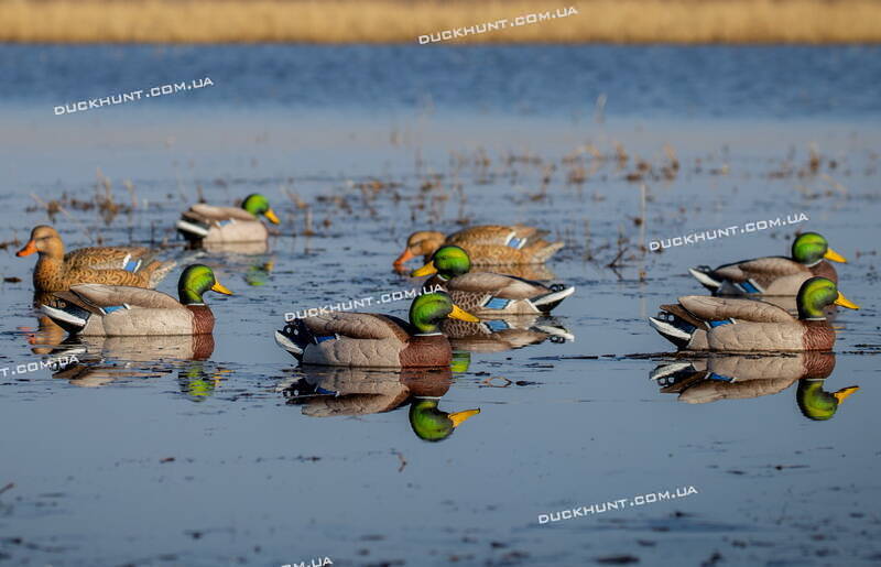 Чучела Pro-Grade XD Series Active комплект из 6 штук