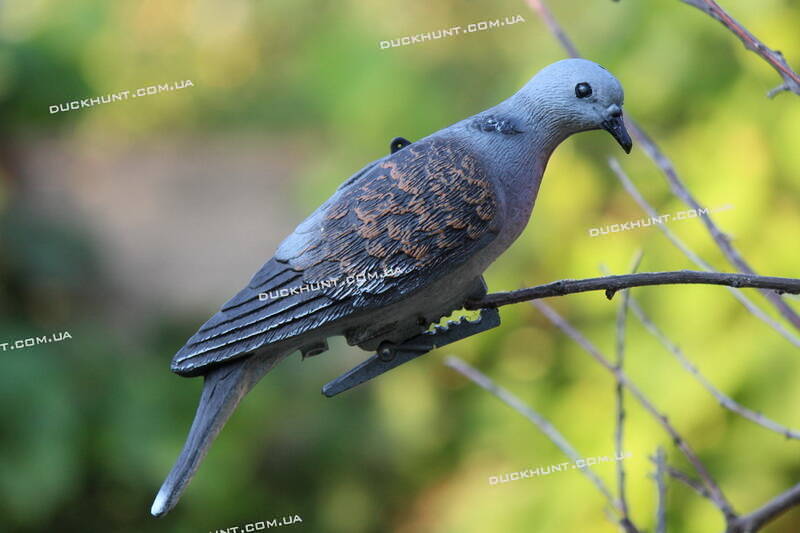 Чучело горлиці європейської SPORT PLAST 639P