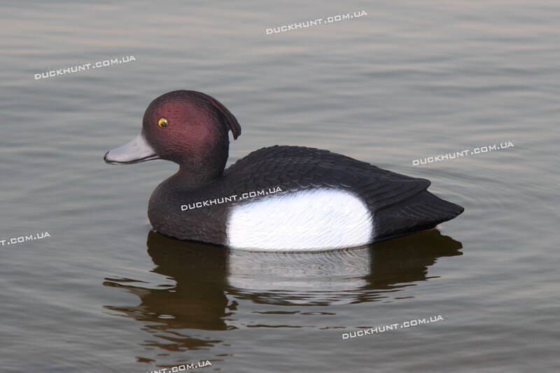 Чучело селезня чорніти SPORT PLAST STD 09