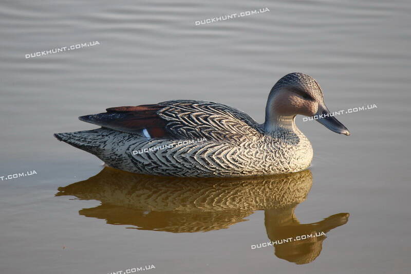 Чучело качки шилохвіст SPORT PLAT STD 04