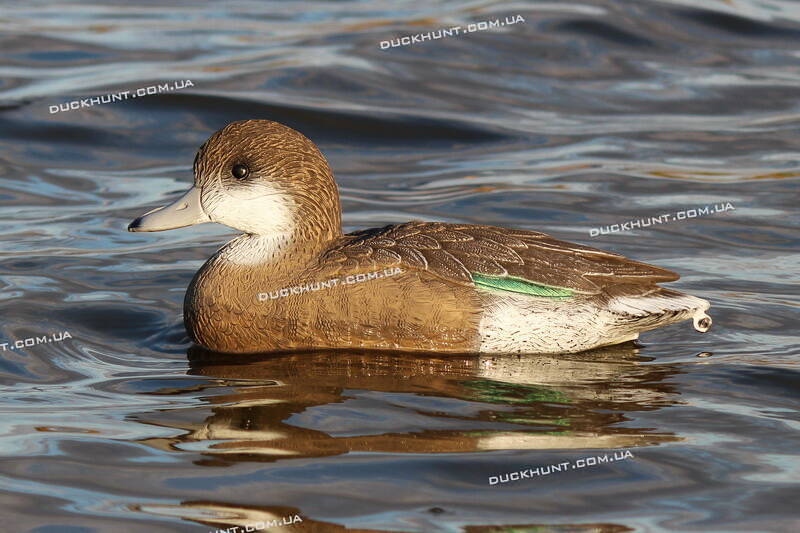 Чучело качки свиязи SPORT PLAST STD 06