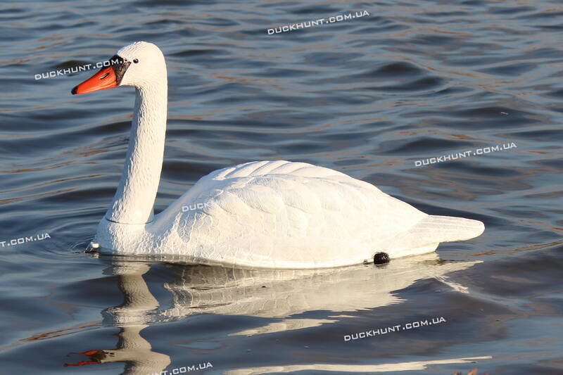 Чучело сторожового лебедя SPORT PLAST 591AV