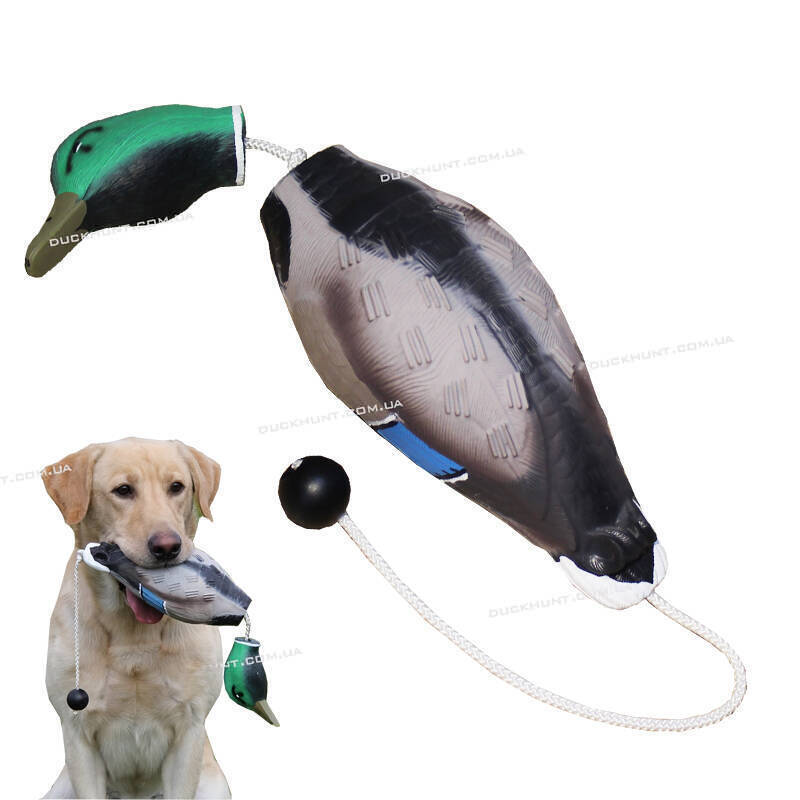 Поноска-апорт КАЧКА СЕЛЕЗЕНЬ для тренування собак