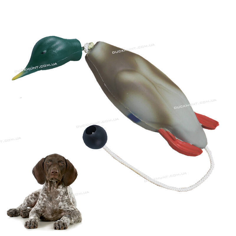 Поноска-апорт КАЧКА СЕЛЕЗЕНЬ для цуценят