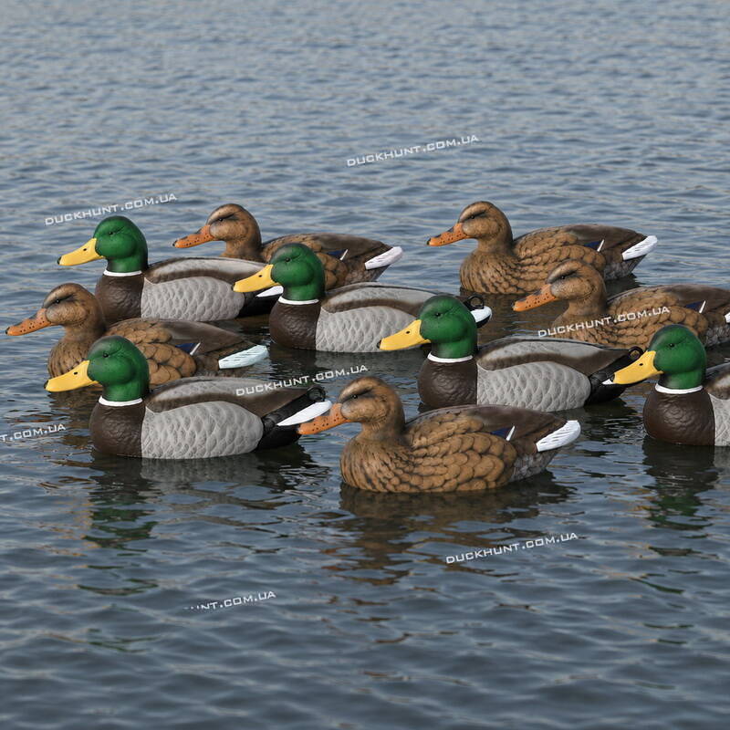 Чучела кряквы Flambeau Masters Series™ Mallard, комплект из 12 штук