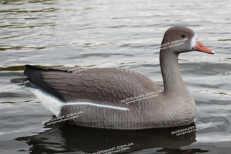 Чучело білолобої гуски SPORT PLAST FL540