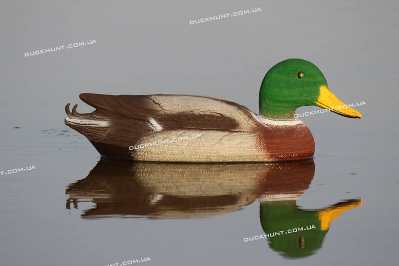 Чучело селезня крижня SPORT PLAST LC 01