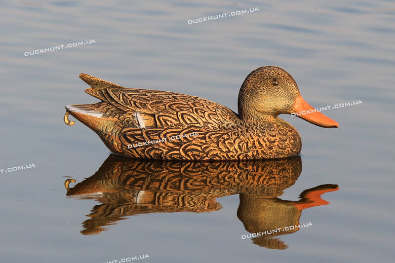 Чучело качки крижня SPORT PLAST LC 02