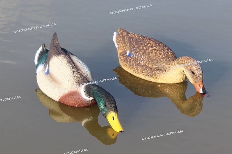 Чучела крижня SPORT PLAST FE1000SF. Комплект з 2 шт