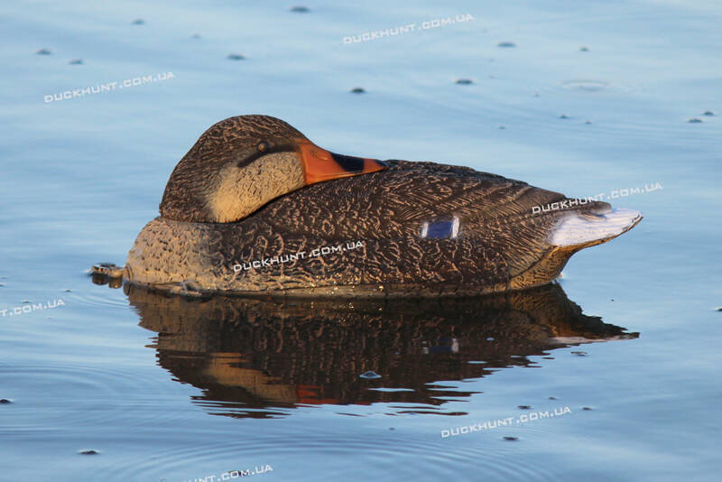 Чучело качки крижня SPORT PLAST VBS 02