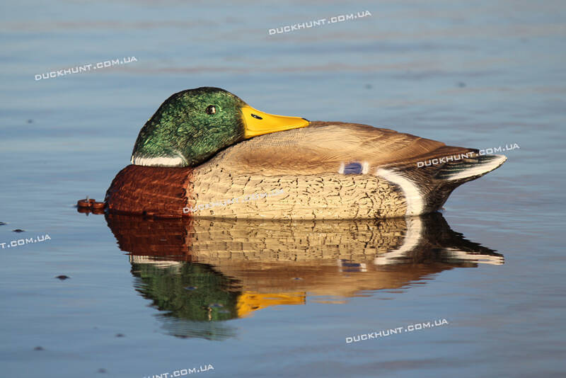 Чучело селезня крижня SPORT PLAST VBS 01