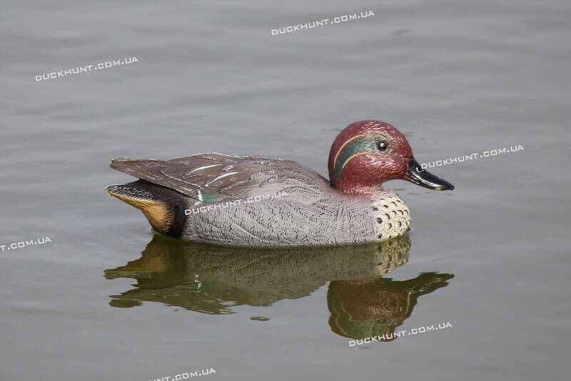 Чучело селезня чирка SPORT PLAST STD 20