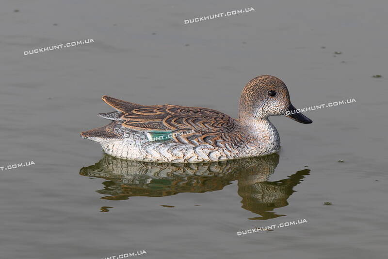 Чучело качки чирка SPORT PLAST STD 21