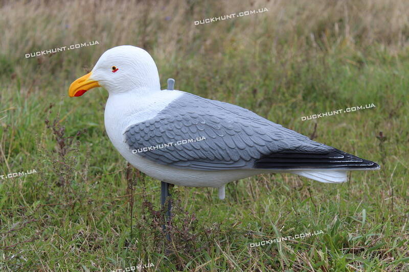 Чучело чайки Спорт Пласт SG1100