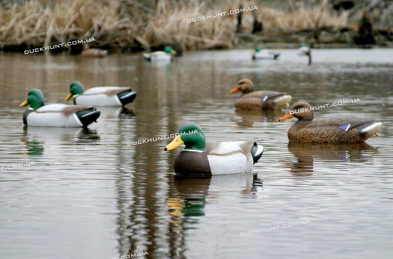 Чучела крижня Flambeau-комплект з 6 штук