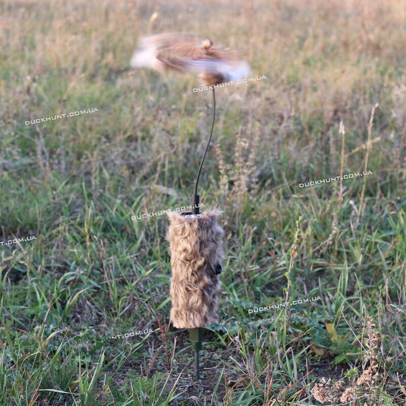 Чучело для полювання на хижака МOJO Critter