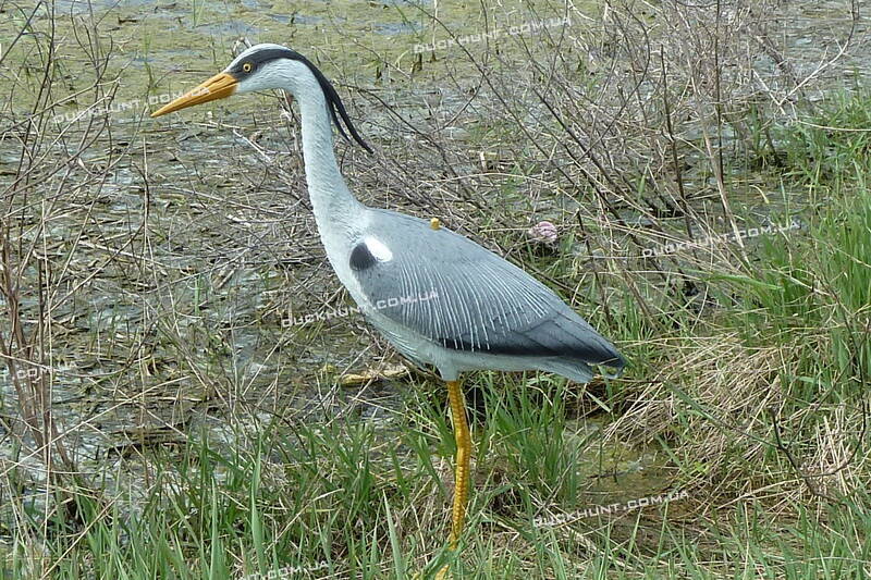 Чучело чаплі SPORT PLAST HER1500 PROMO