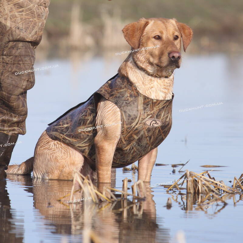 Неопреновый жилет для собак Avery Standart Dog Parka 3 mm