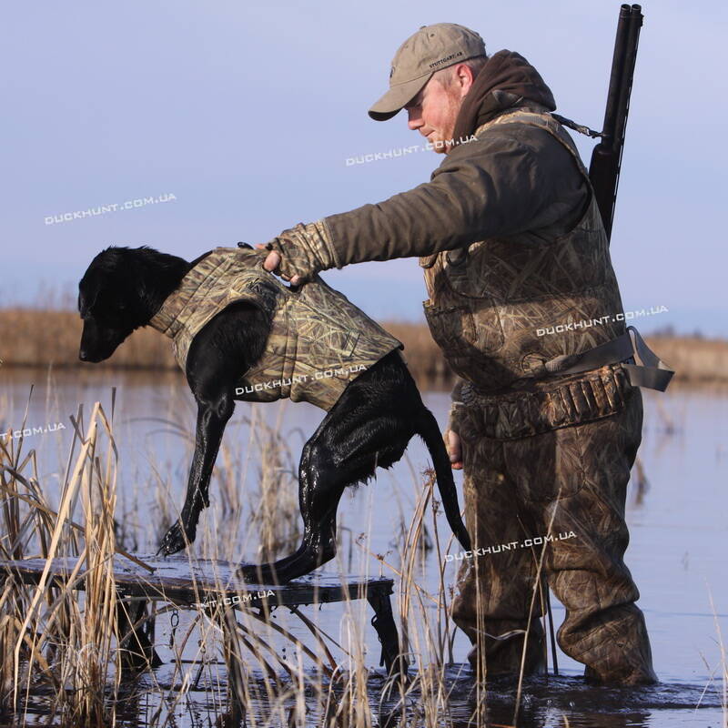 Неопреновий жилет для собак Avery Boater's Dog Parka 5 мм