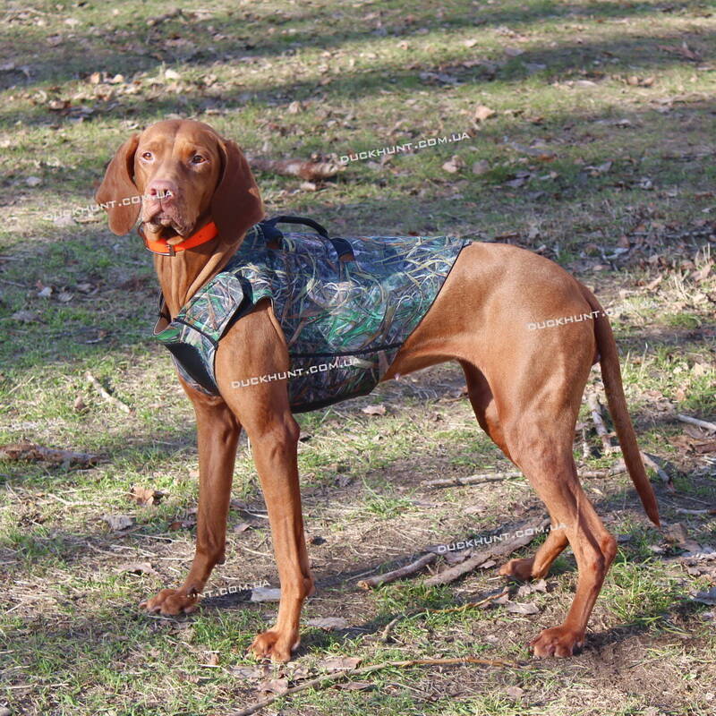 Неопреновий жилет для собак Neoprene Dog Vest Cамо 3 мм