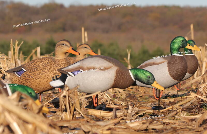 Чучелa крижня Flambeau Full Body комлект з 6 штук