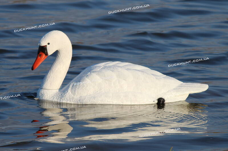 Чучело відпочиваючого лебедя SPORT PLAST 591AV