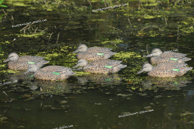 Чучела чирка Green-Wing Early Season-комплект из 6 штук