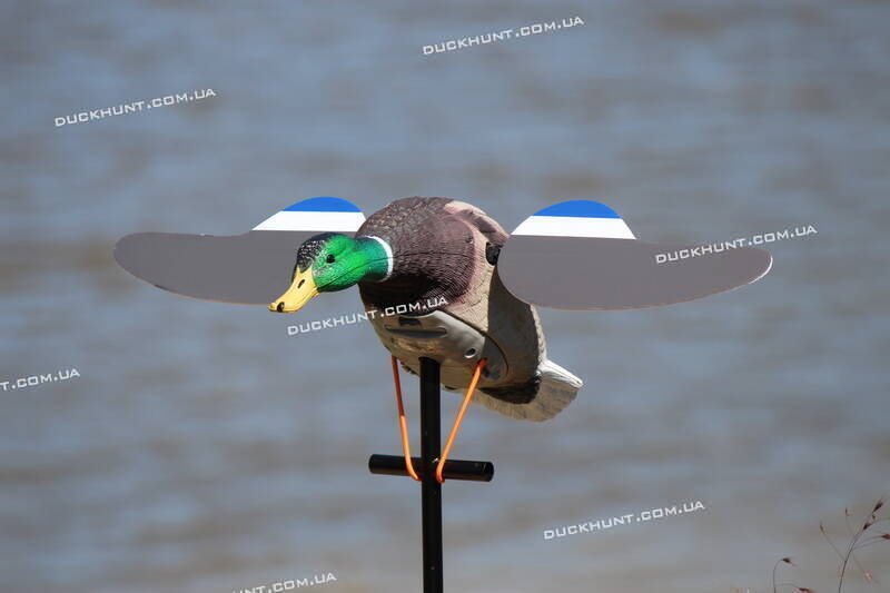 Чучело селезня крижня Lucky Junior II