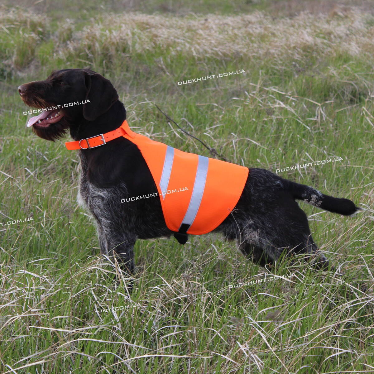 Сигнальний жилет для собак Dog Ripstop Vest розмір L