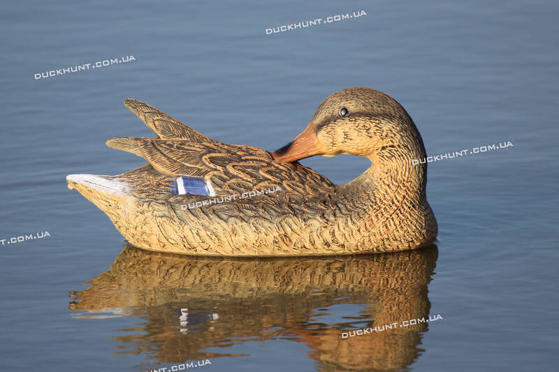 Чучело качки крижня Delux SPORT PLAST PR 02