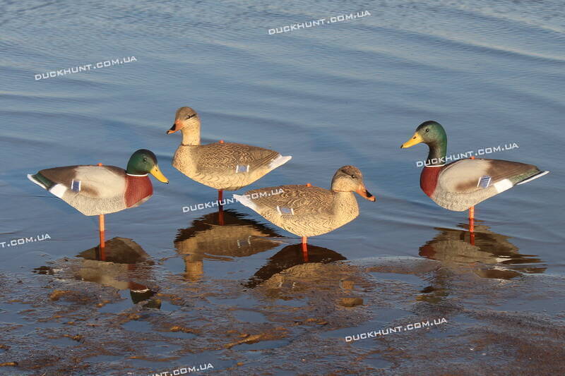 Чучела крижня SPORT PLAST IM01-02. Комплект з 4 шт