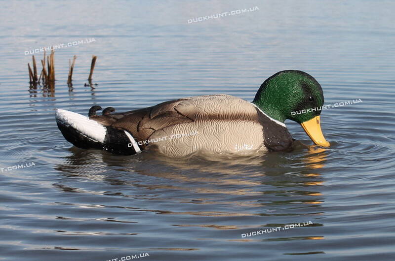 Чучело селезня крижня MOJO Rippler